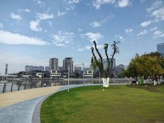 -映月湖中央公园
