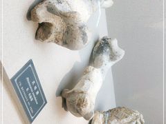 -重庆中国三峡博物馆(重庆博物馆)