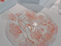 -中国美术学院象山校区-民艺博物馆