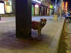 -韩马老王烧烤(西二路店)