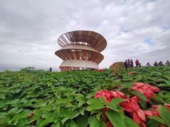 -光明小镇欢乐田园