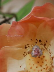 -北京七彩云南翡翠珠宝旗舰店(月坛店)