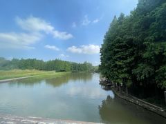 -溱湖国家湿地公园