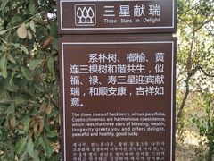 -巢湖姥山岛