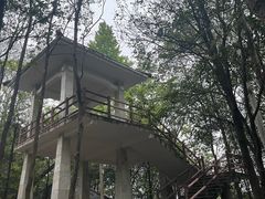 -火炉山森林公园