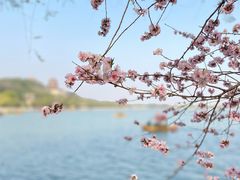 -颐和园