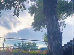 -SUSU·苏苏(四合院创始店)
