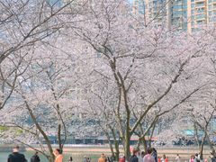 -西北湖绿化广场