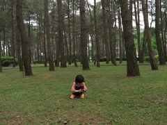 -Club Med地中海俱乐部·桂林度假村