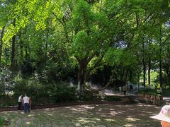 -成都市活水公园