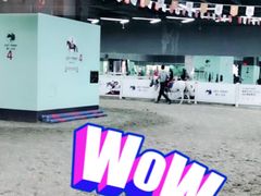 -骑乐马术(广州奥体优托邦中心)