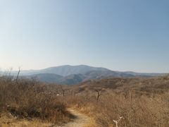 -北京西山国家森林公园