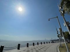 -深圳湾公园(南山区)