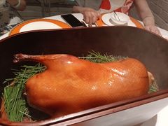 -鹿园 MOOSE(长宁店)