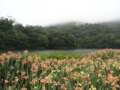 -广州市石门国家森林公园