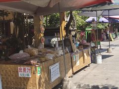 -西双版纳傣族园