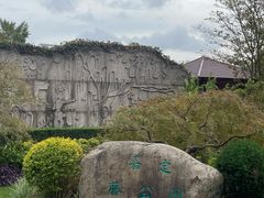 -嘉定紫藤园