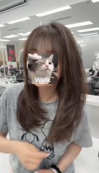 -5M HAIR SALON 旗舰店