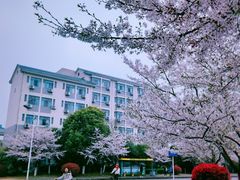 -江南大学(蠡湖校区)
