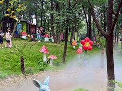 -沂蒙山旅游区云蒙景区(蒙山国家森林公园)
