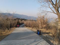 -北京西山国家森林公园