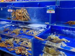 -船梆煮•蒸汽海鲜·炉火烤肉(五四广场店)