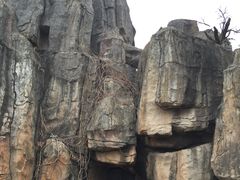 -咸宁万豪温泉谷度假区