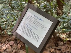 -天目山大树王景区