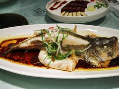 清蒸鲈鱼-大蓉和(双楠店)