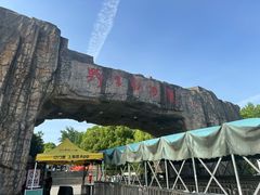 -合肥野生动物园