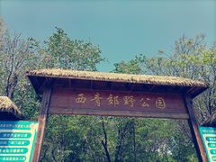 -西青郊野公园