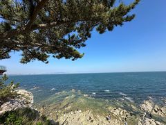 -养马岛旅游度假区