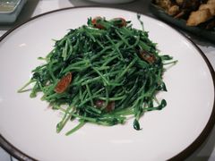 鸡油腊味炒豆苗-潮界(虹桥新天地店)