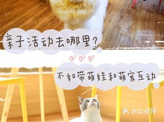 亲子活动去哪里不如带萌娃和萌宠互动