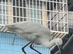 -晓港公园
