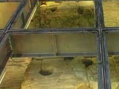 -北京路步行街-千年古道遗址