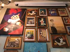 -猫咪博物馆(顶澳仔猫街店)