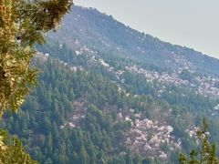 -北京十三陵国家森林公园蟒山景区