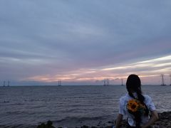 -宝安西湾红树林湿地公园