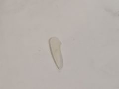 -鸿顺楼(永兴路店)