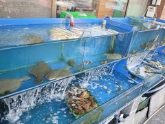 -北方饺子王·海肠捞饭·海鲜锅(山大店)