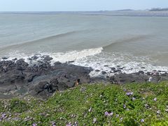 -漳州滨海火山岛自然生态风景区