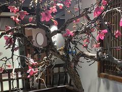 -天天鱼港·海鲜·鲅鱼水饺·招牌烤鸭(黄骅店)
