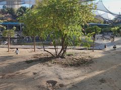 -森林公园(尖草坪区)