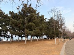 -悦海公园