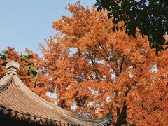 -北寺塔