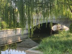 -元大都城垣遗址公园