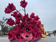 -荷兰花海