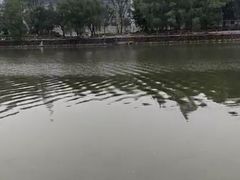 -艾溪湖湿地公园