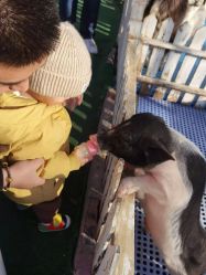 -萌宠亲子动物乐园(槐房万达店)